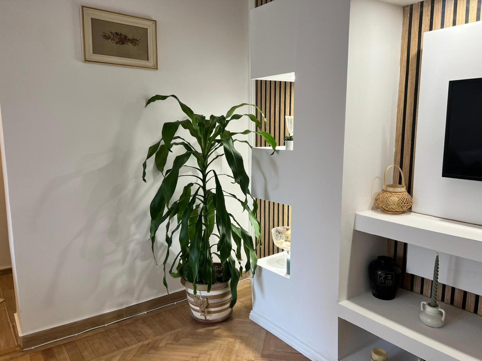 The House In The Park Apartament