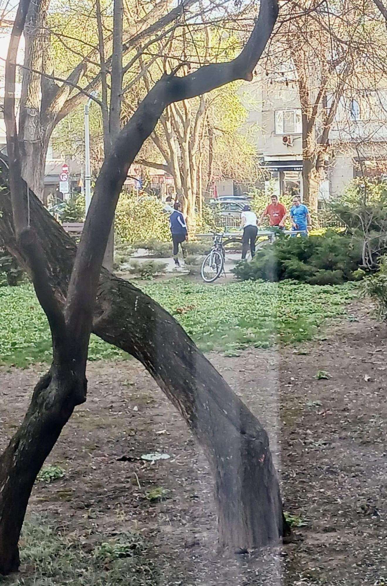 The House In The Park Bucureşti