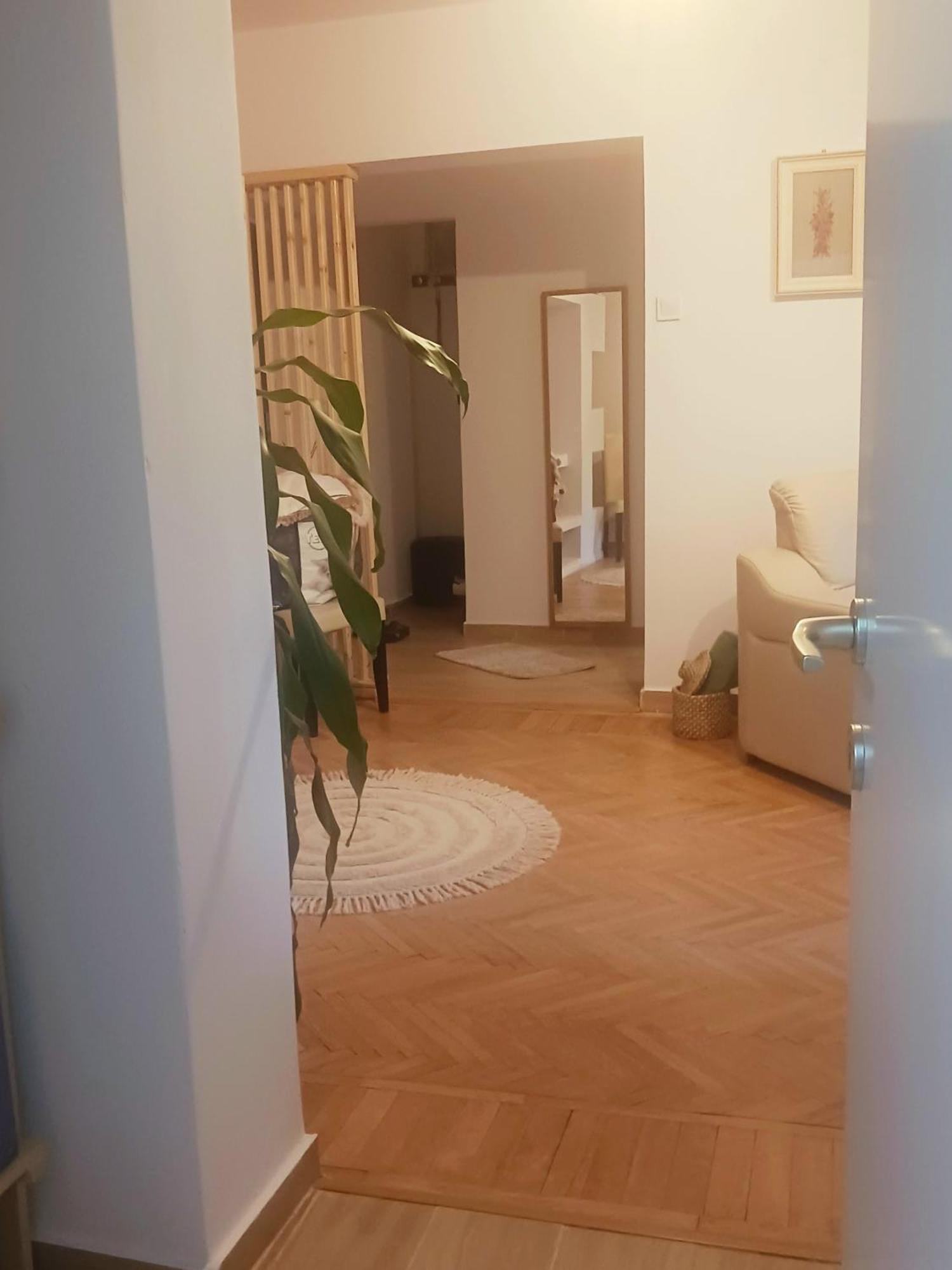 Apartament The House In The Park Bucureşti