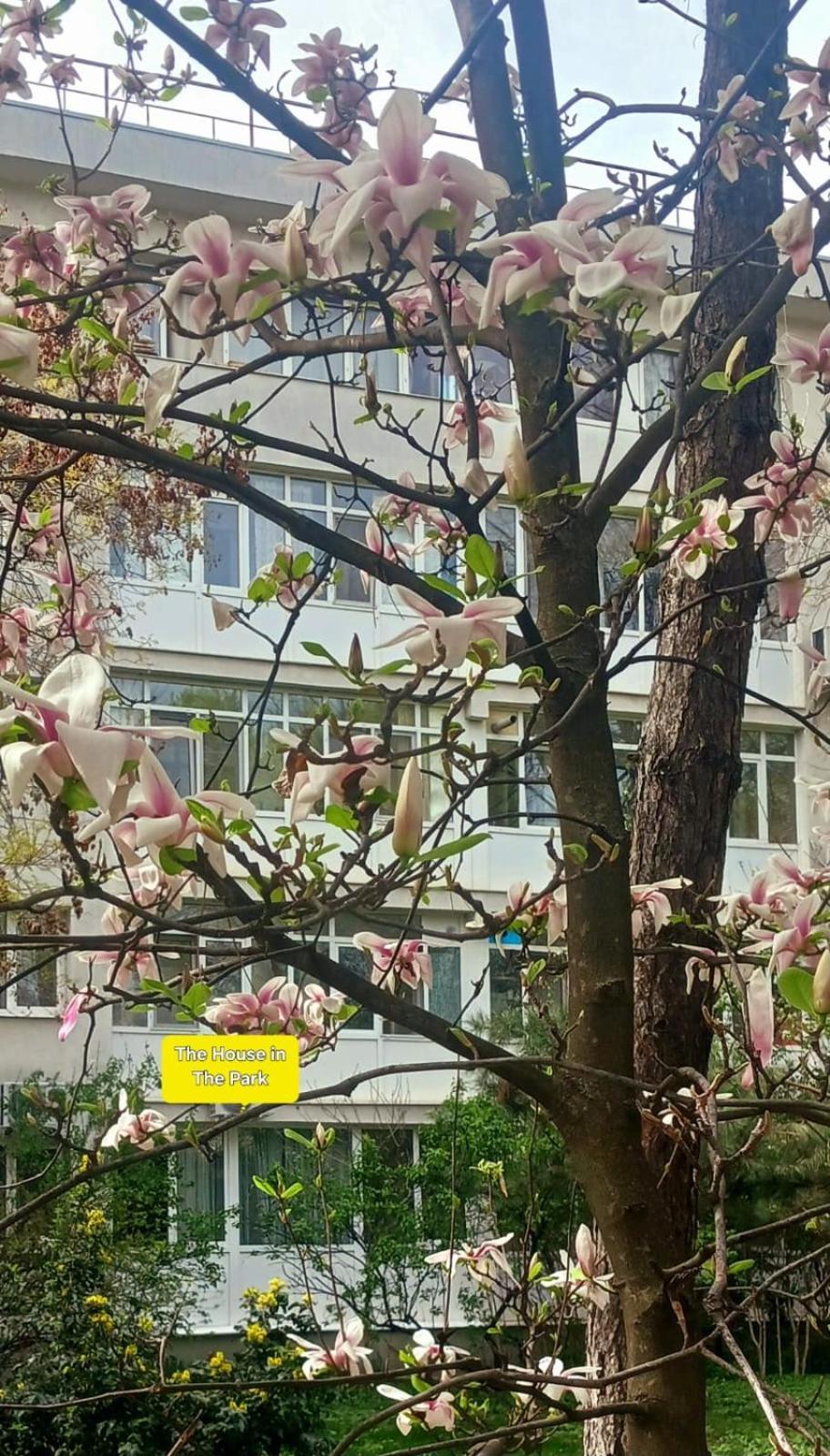 The House In The Park 公寓 布加勒斯特