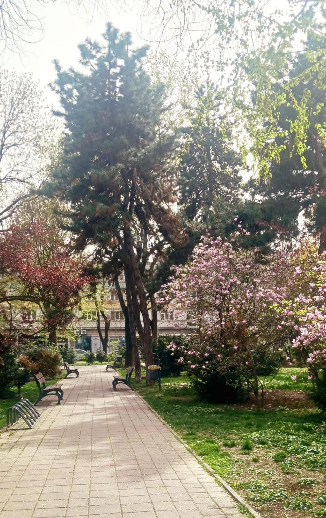 公寓 The House In The Park *