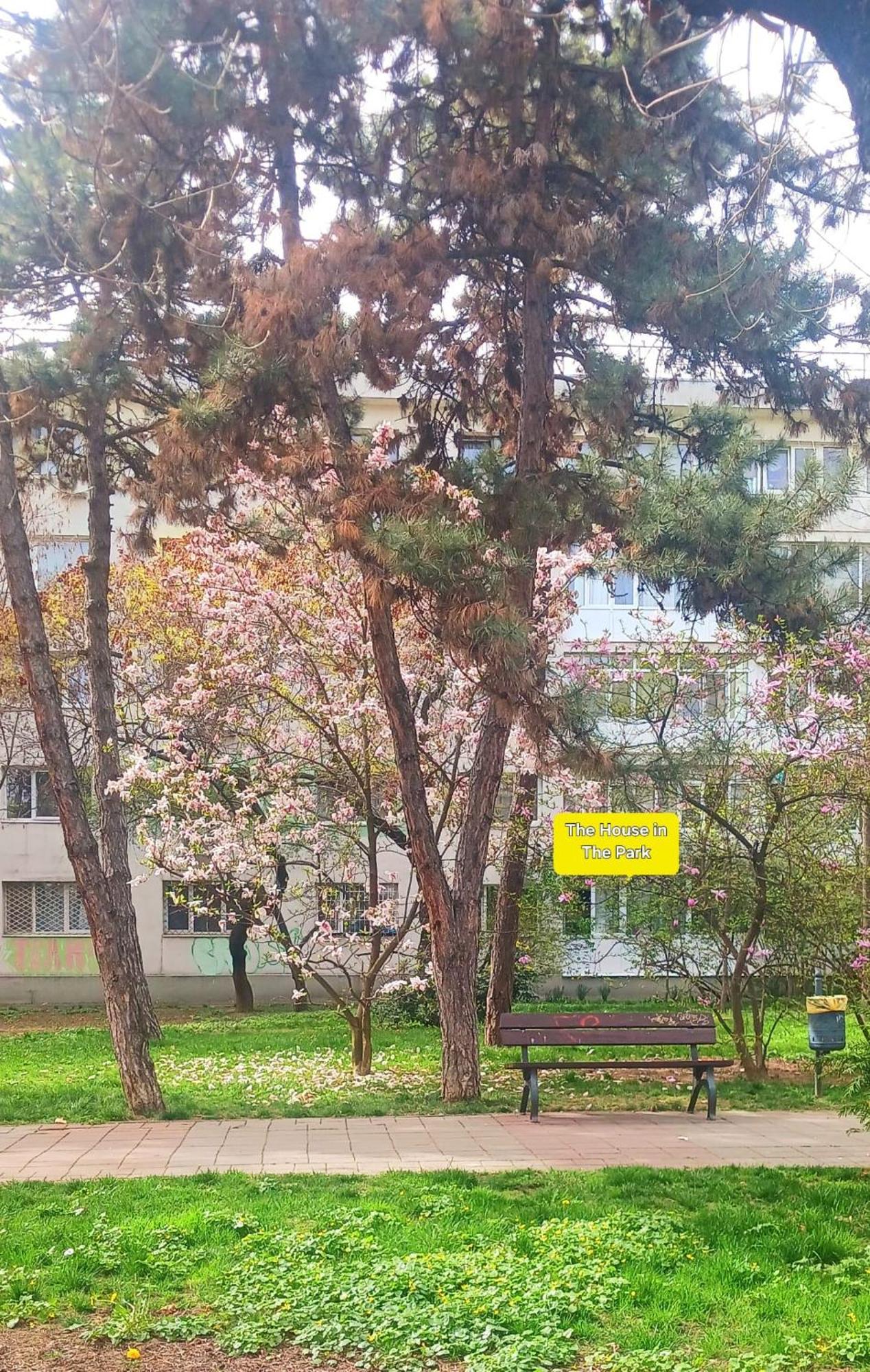 The House In The Park 公寓