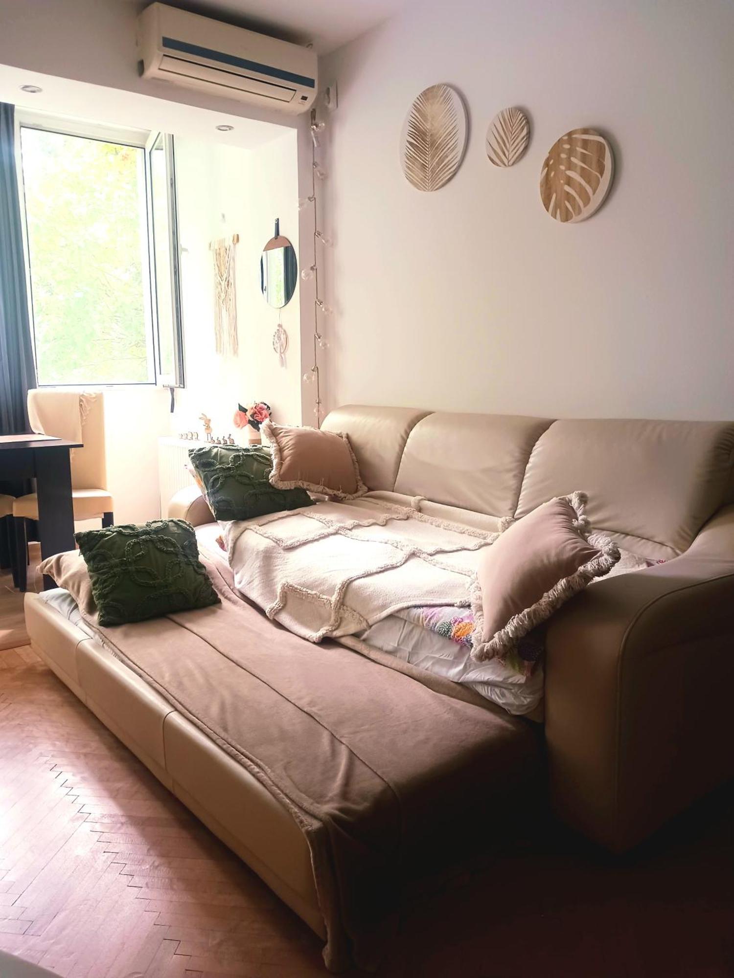The House In The Park 公寓 布加勒斯特